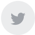 twitter icon - grey