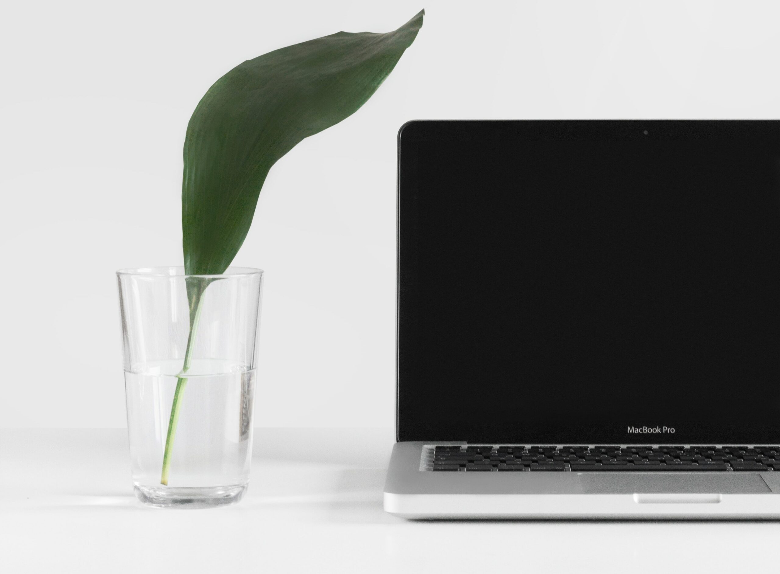 How To Convert Your Practice To Online Telehealth