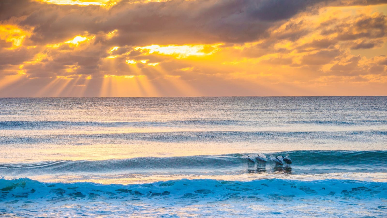 Beach sunset