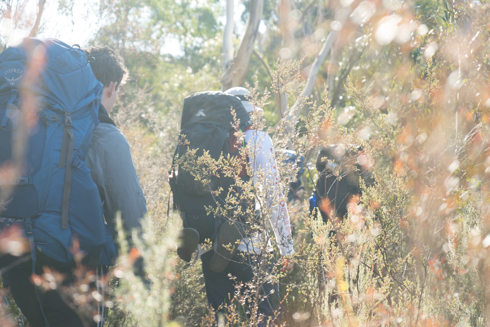 7 ways to have the best staycation ever - get into nature - 3 people hiking through the bush with overnight packs on
