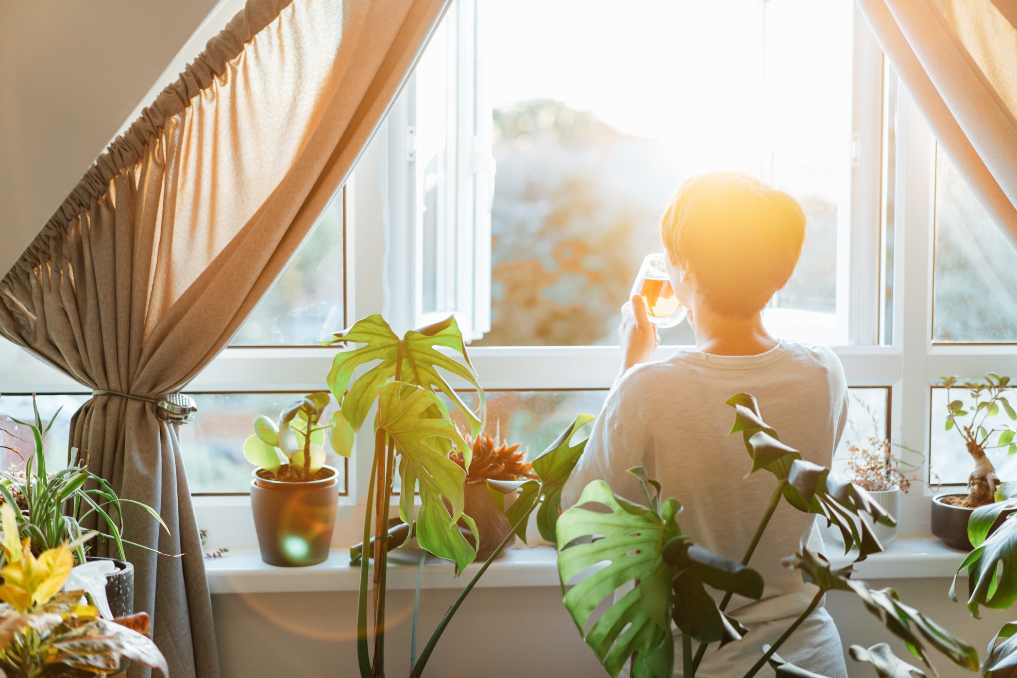 woman-drinking-tea-with-indoor-plants