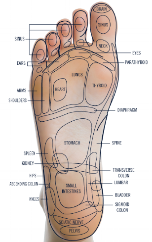 reflexology